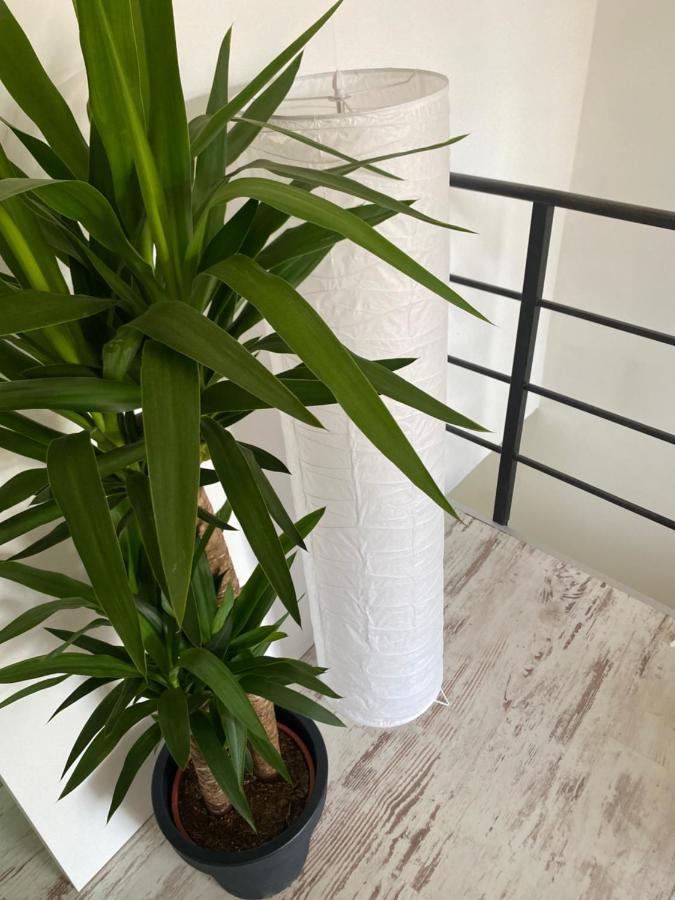 Hisa Megiclinic - Apartments & Healing Center Kobarid Dış mekan fotoğraf