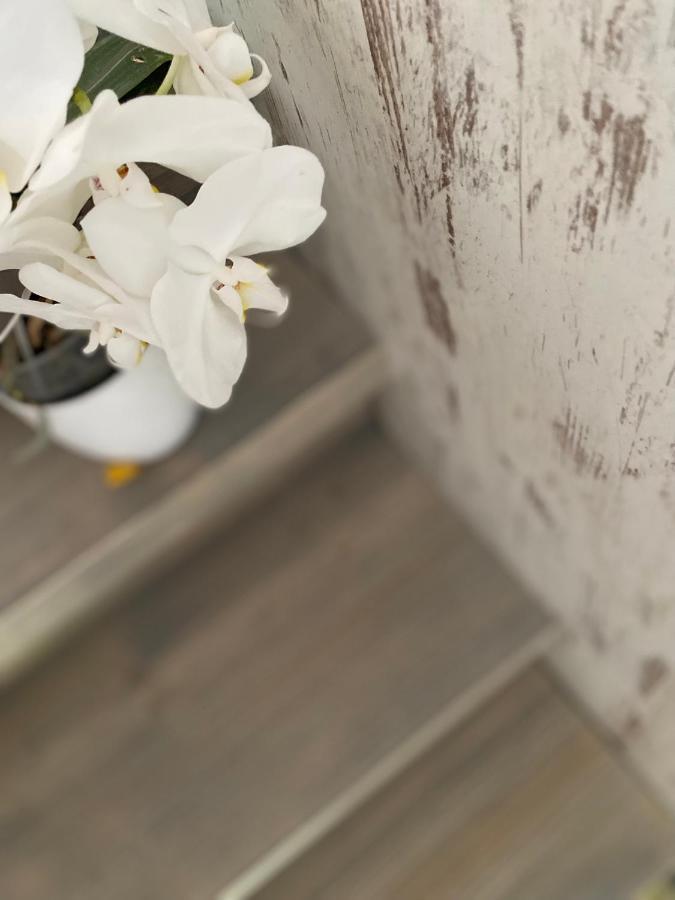 Hisa Megiclinic - Apartments & Healing Center Kobarid Dış mekan fotoğraf