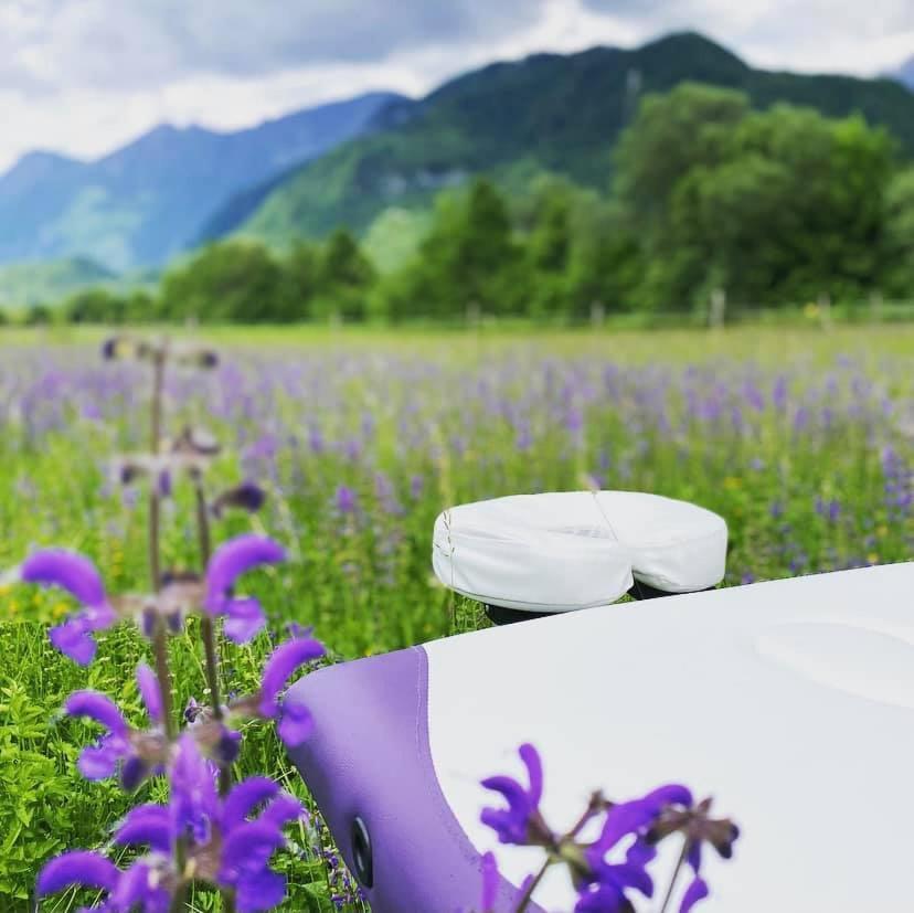 Hisa Megiclinic - Apartments & Healing Center Kobarid Dış mekan fotoğraf
