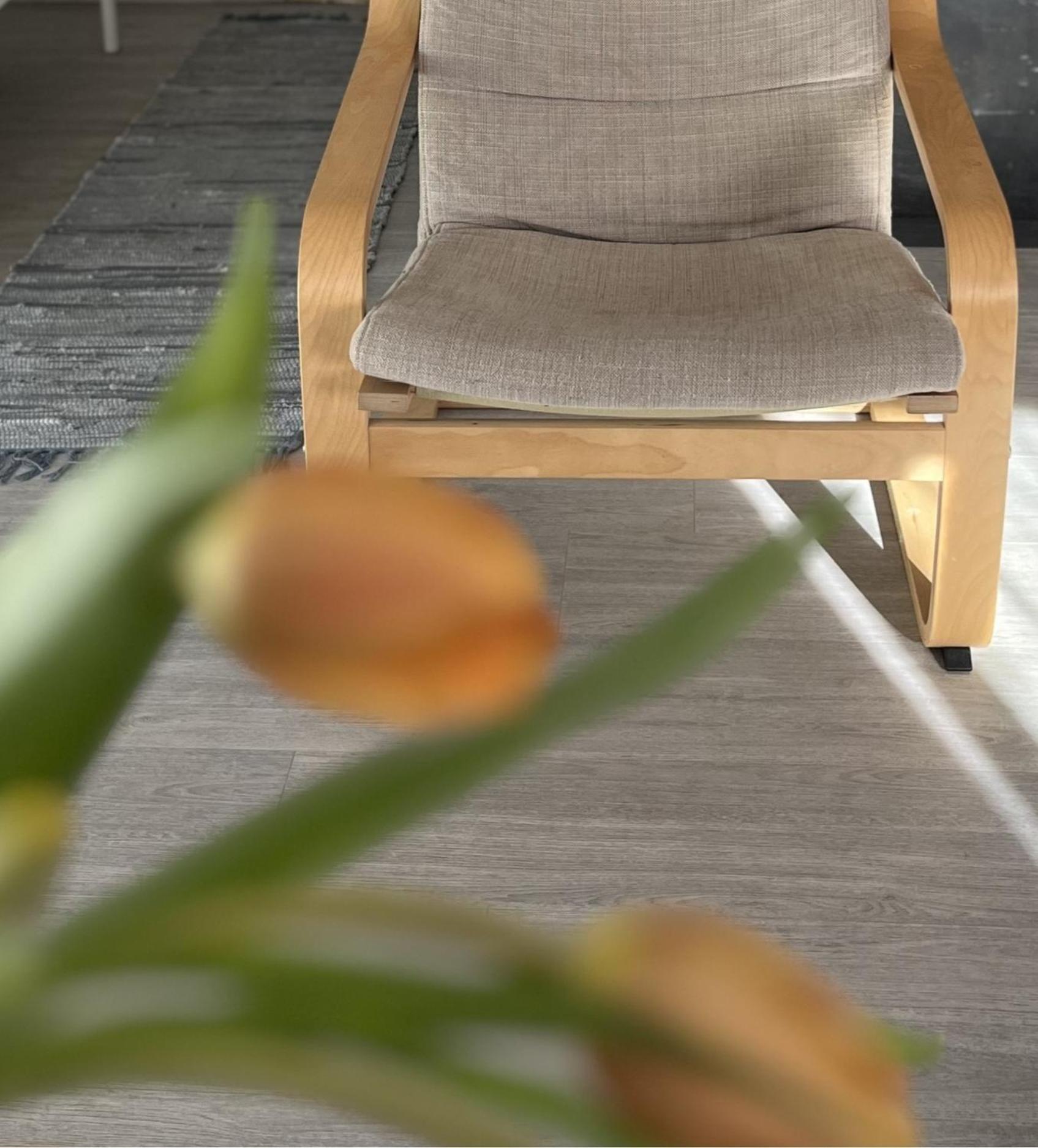 Hisa Megiclinic - Apartments & Healing Center Kobarid Dış mekan fotoğraf