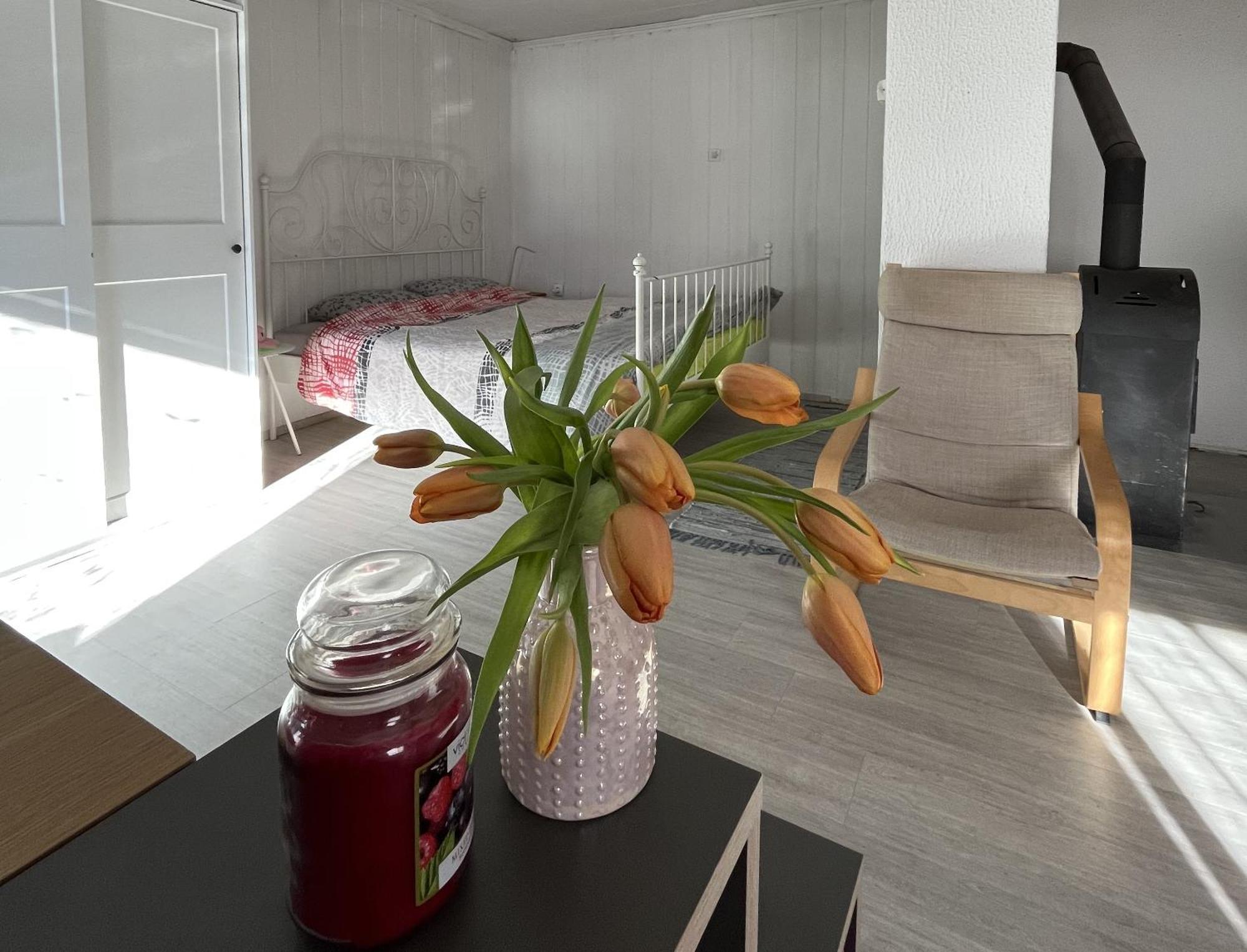 Hisa Megiclinic - Apartments & Healing Center Kobarid Dış mekan fotoğraf