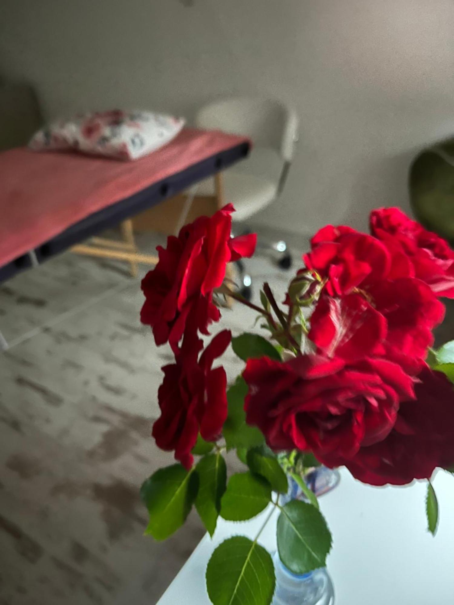 Hisa Megiclinic - Apartments & Healing Center Kobarid Dış mekan fotoğraf